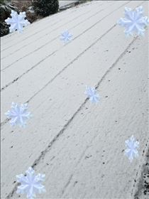 みほ・10日　よろしくお願いします