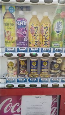 つばさ・帰省の思い出