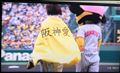 9連戦5日目