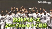 つばさ・推し球団が優勝しました！