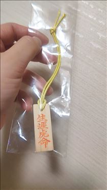 つばさ・主張強め