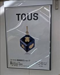 つばさ・やっぱり行くでしょ