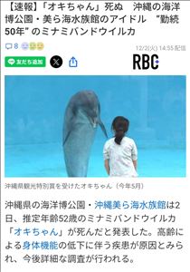 つばさ・イルカって長生き