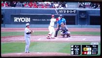 つばさ・4日ぶりの
