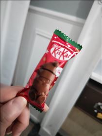 つばさ・しばらくとっておく