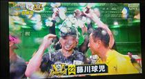 つばさ・推し球団が優勝しました！
