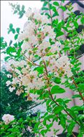 ありがとうございました❤️(*^^*)