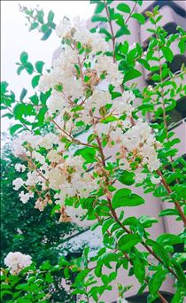 まみ・ありがとうございました❤️(*^^*)