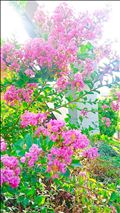 ありがとうございました❤️(*^^*)