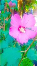 ありがとうございました❤️(*^^*)