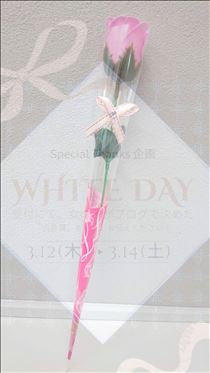 まみ・ありがとうございました❤️(*^^*)