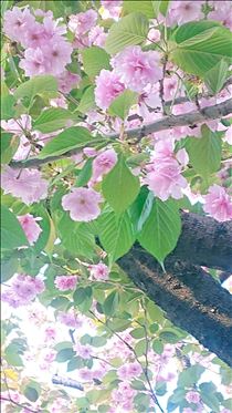 まみ・ありがとうございました❤️(*^^*)