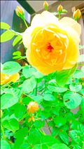 ありがとうございました❤️(*^^*)