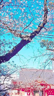 まみ・ありがとうございました❤️(*^^*)