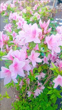 まみ・ありがとうございました❤️(*^^*)