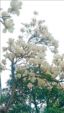 ありがとうございました❤️(*^^*)