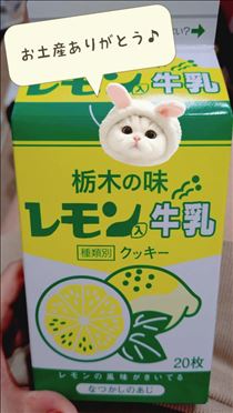 ゆうこ・ありがとう??