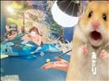 断然うまい