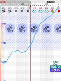 ゆうこ・???