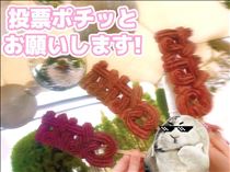 ゆうこ・ぽちぽちっとな!