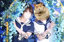 ゆうこ・後半戦もよろしく