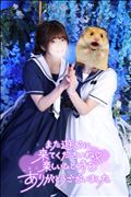 はぴぬる終了