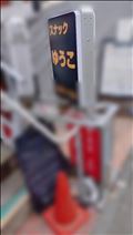 お散歩中の大発見!