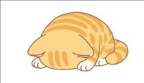 ゆうこ・今日お会いしたかった皆さまへ