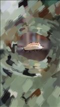 こんなところに