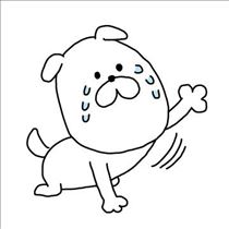 ゆうこ・人生2度目