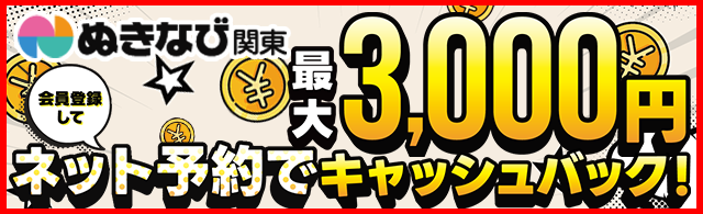 nukinavi_3000back_PC_640x195px