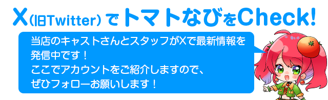 説明